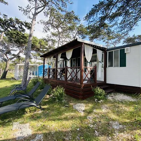 Дом отдыха Pine House Ражанац