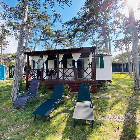 Pine House * Ражанац