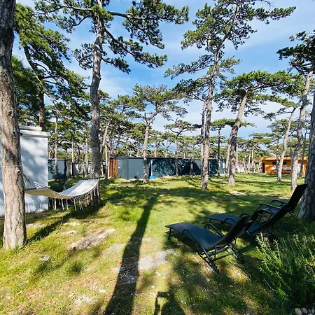 Pine House Дом отдыха