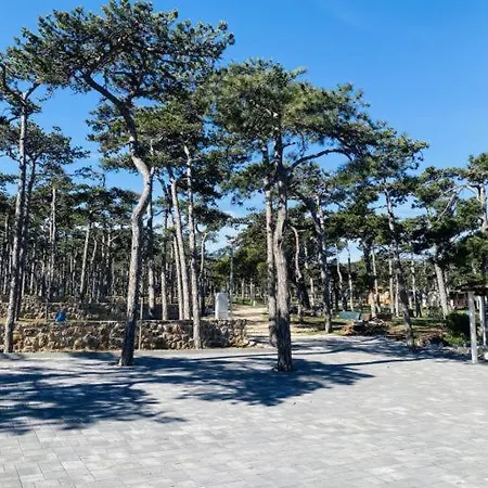 Дом отдыха Pine House Ражанац