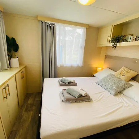 Pine House Дом отдыха Ражанац